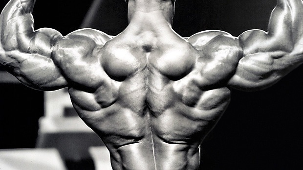 Tips and Five Best Exercises To Build a Big and Strong Upper Back! -  CHALLENGER STRENGTH